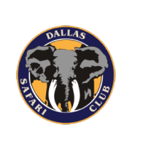 DSC Logo